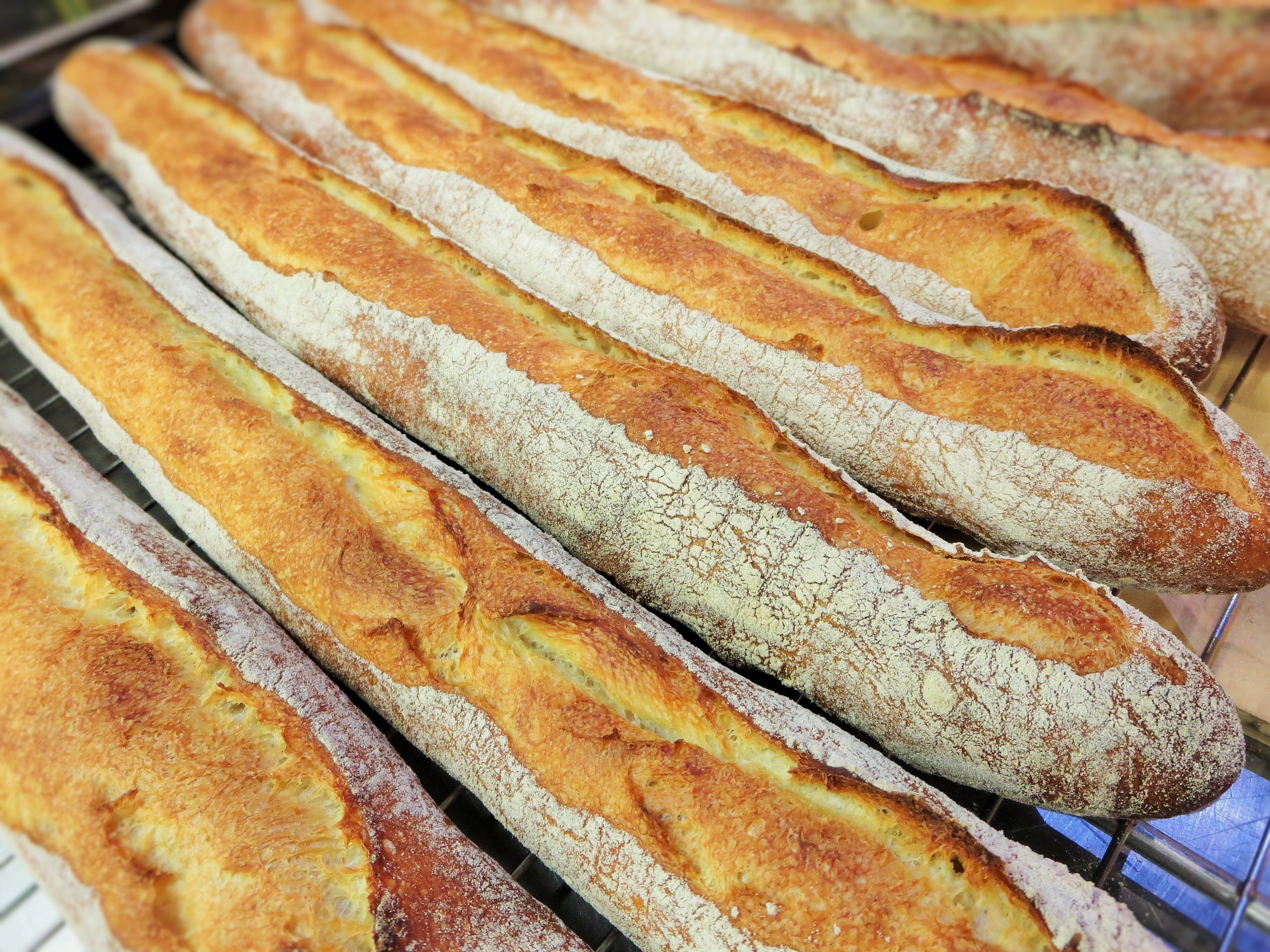 フランスパンの作り方 ホシノ天然酵母パン種