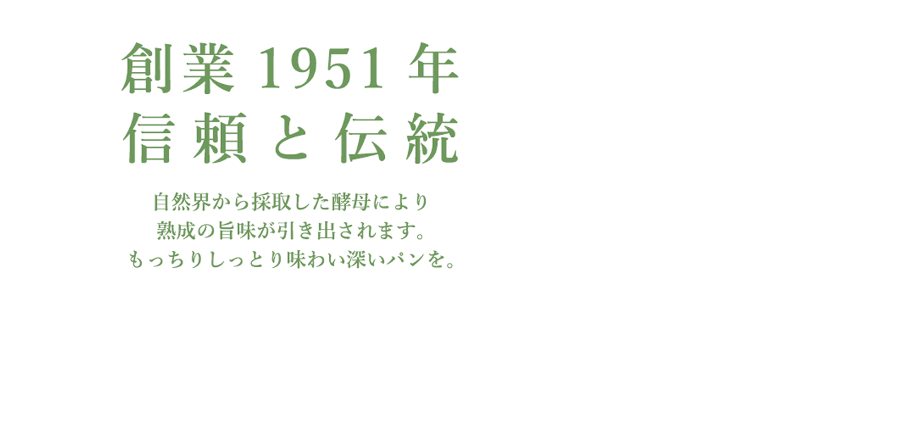 ホシノ天然酵母パン種