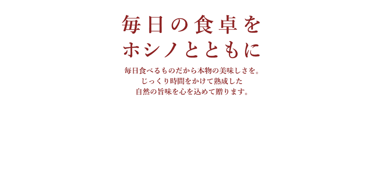 ホシノ天然酵母パン種