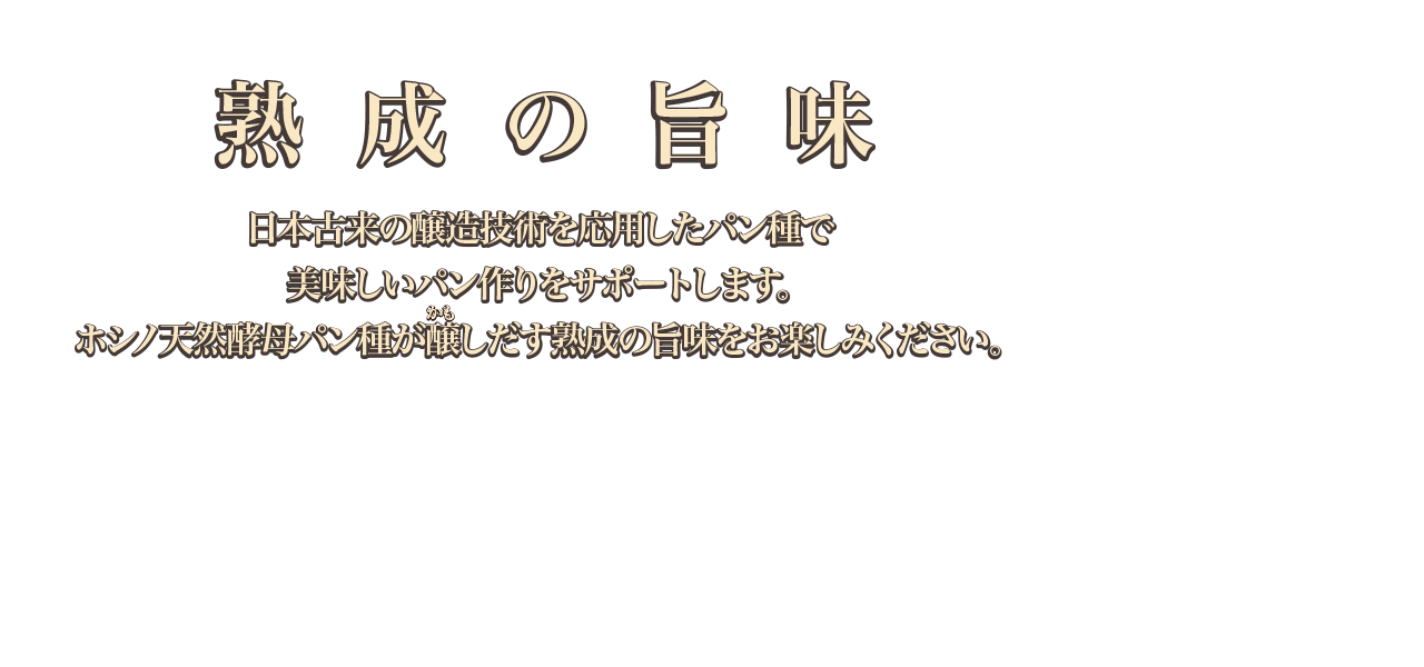 ホシノ天然酵母パン種