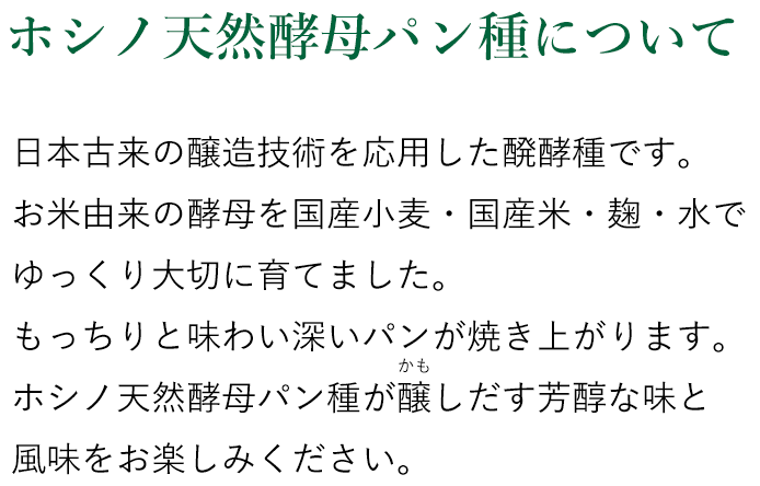 商品紹介 - ホシノ天然酵母パン種